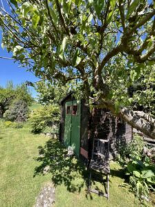 Garten