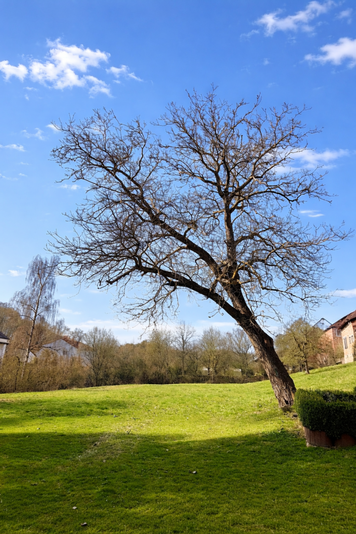 Grünfläche Südost-Blick