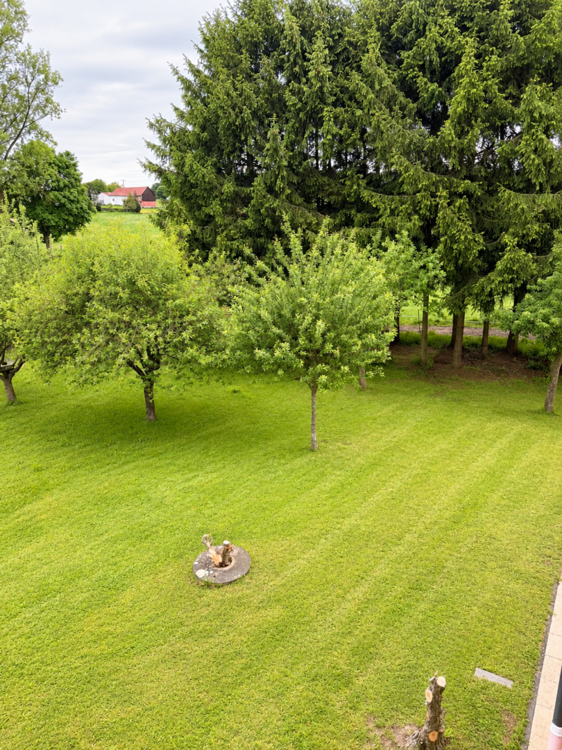 Blick in den Garten
