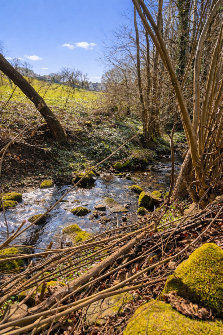 Bachlauf