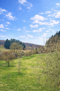 Balkonblick DG