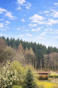 Balkonblick DG