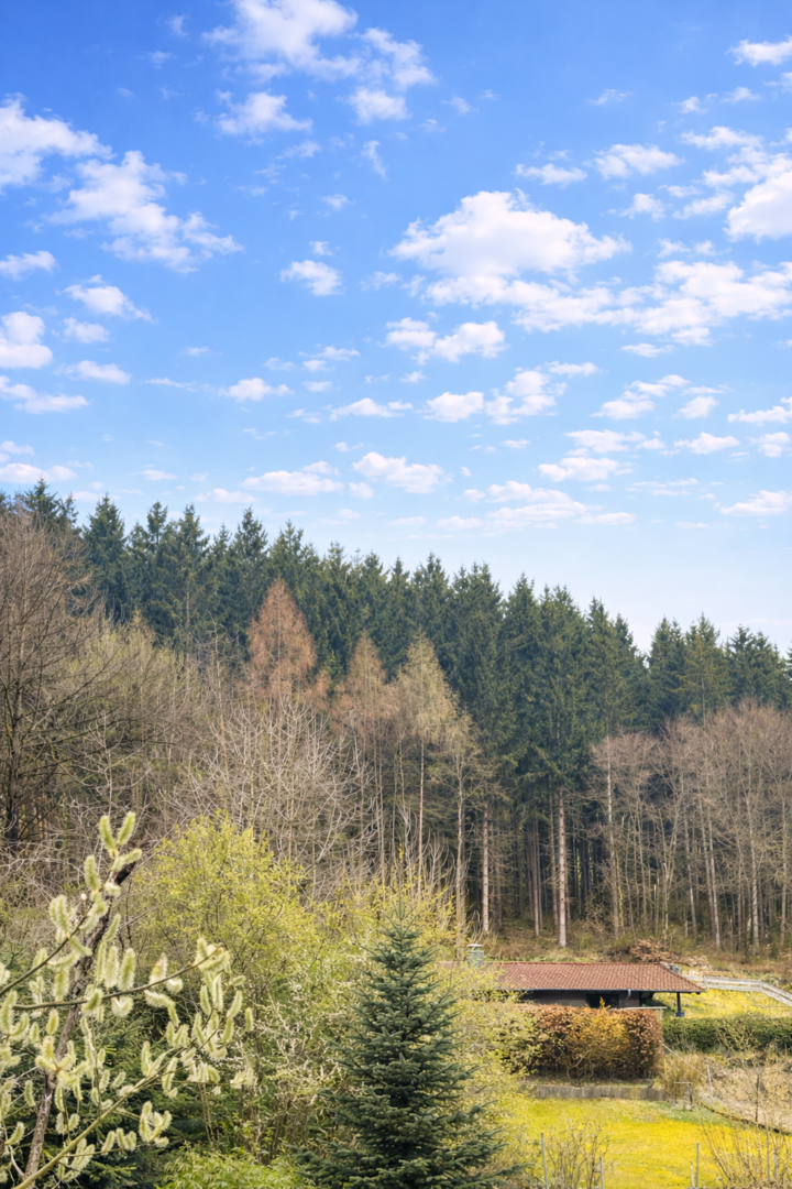 Balkonblick DG