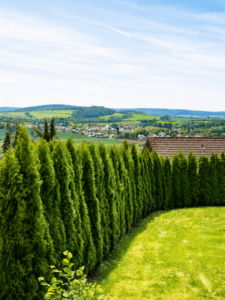 Ausblick Vogelsberg