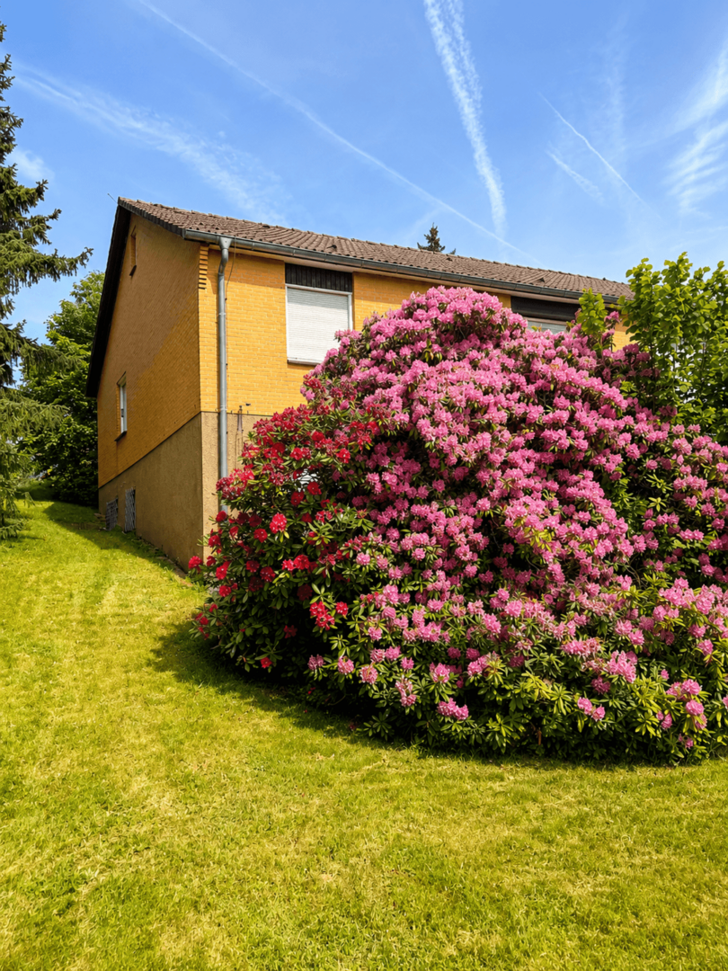 Blick aus Garten 3