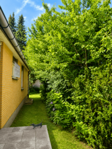 Eingang straßenseitig