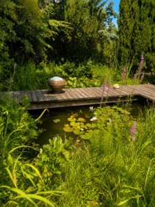 Teich