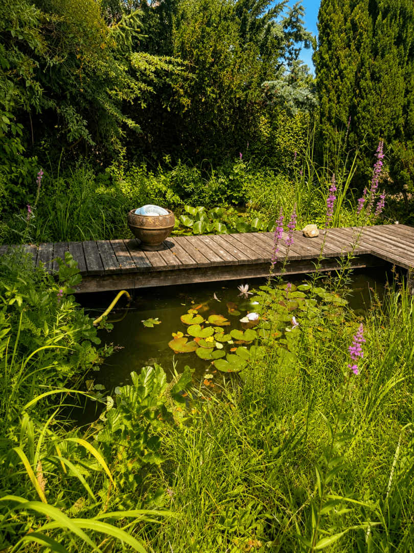 Teich