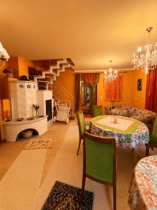 Wohnzimmer / Esszimmer