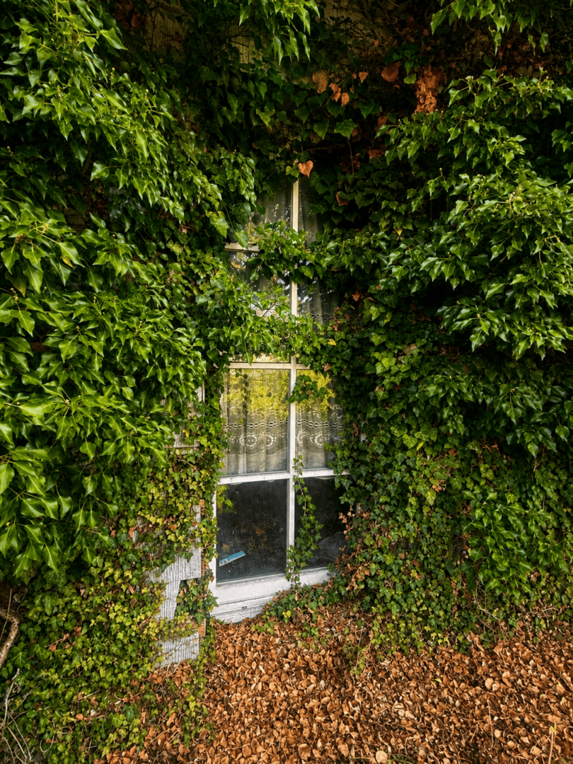 Außen