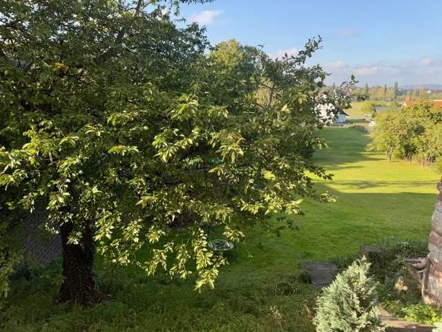 Gartenfläche