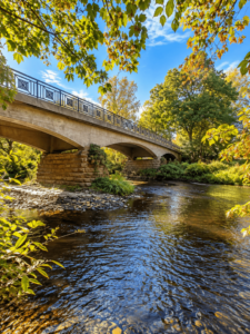 Gartensicht zur Brücke