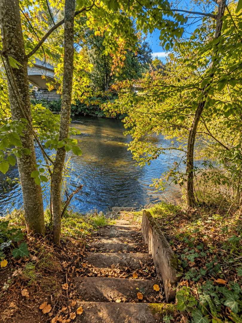 Gartensicht zur Fulda